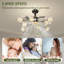 Ventilateur de plafond 32,3 po avec 8 lumières DEL Dawrin
