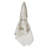 Dijon Linen No Pattern Square Napkin
