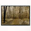 Vue panoramique de la forêt boisée - reproduction de photo sur toile-63568058