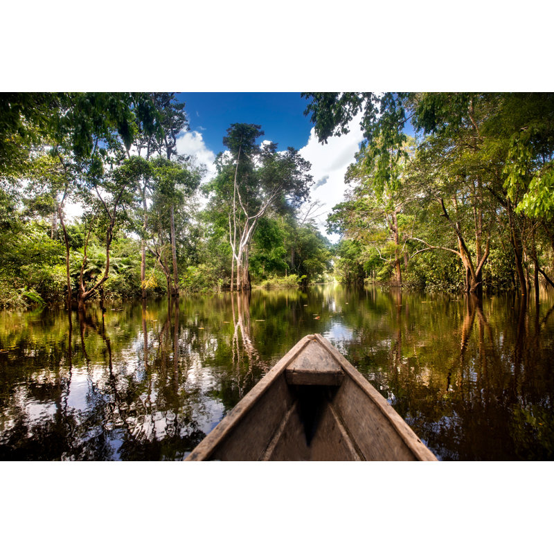 Flooded Forest In Leticia by Alfnqn - Wrapped Canvas Print, 30cm H x 46cm W