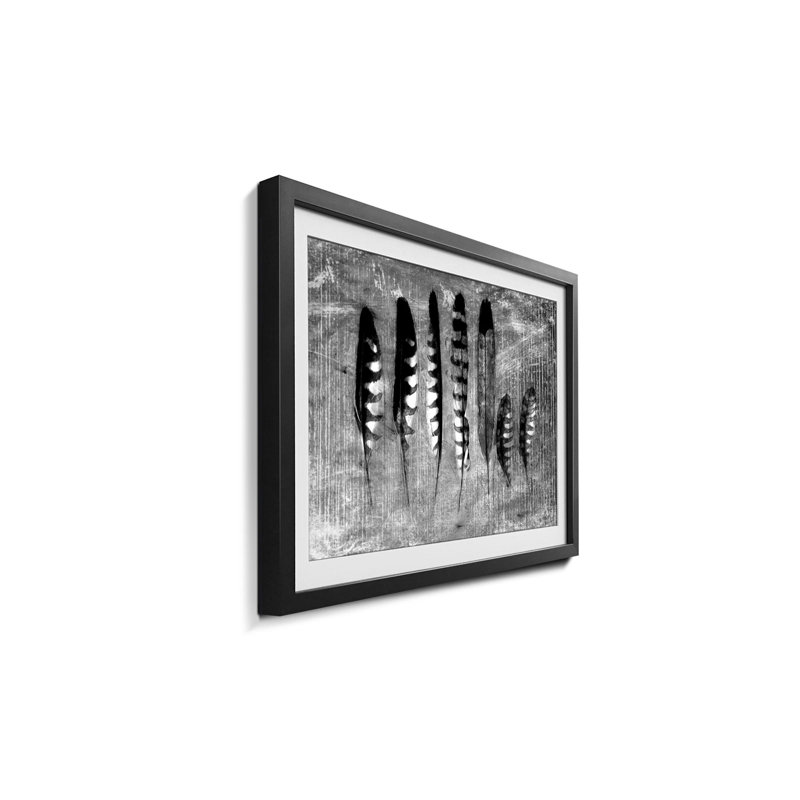 Monochrome Feathers - Single Picture Frame Print, 40cm H x 60cm W