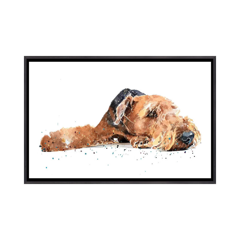 " Airedale " by EdsWatercolours, No Mat, 26" H x 40" W x 1.5" D, Distressed Black Framed Canvas