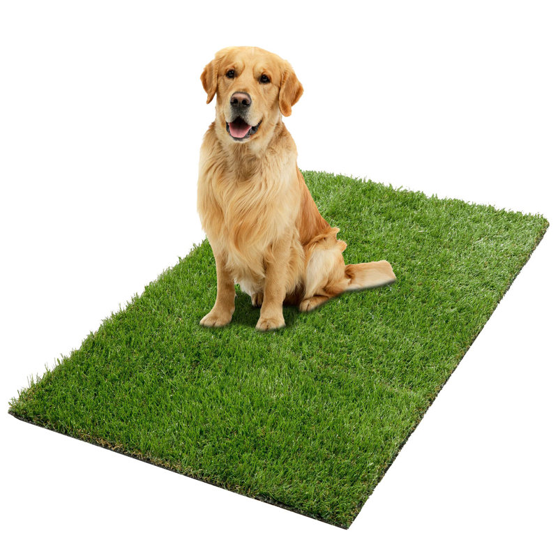 Polypropylene Pet Bed, 2'7" W x 5' D