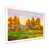 White Framed Canvas