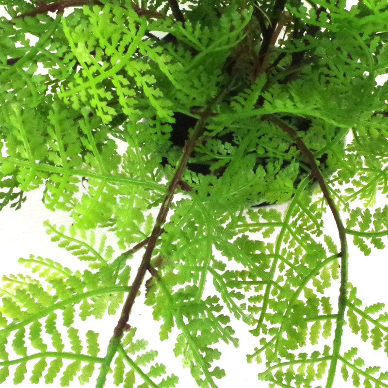 30cm Faux Fern Plant in Pot Liner
