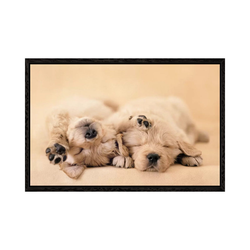 Jay And Connie by Rachael Hale - Print on Canvas, 101.6 cm H x 66.04 cm W, Black Framed