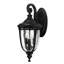 Thynes 3 - Bulb Seeded Glass Outdoor Wall Lantern-14715342-14715341