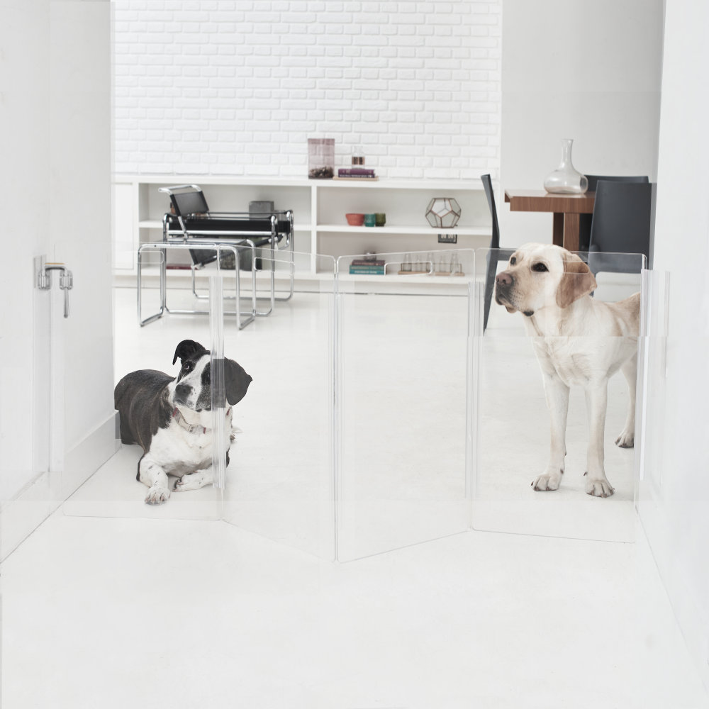 Clear Zig Zag Wall-Mounted Pet Gate, 4 Panel, Tall, Silver