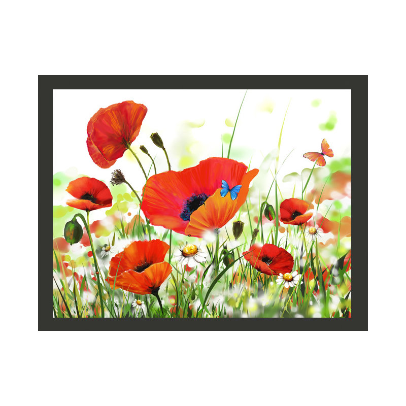 Country Poppies 2.7m x 350cm Wallpaper, 350 cm x 270 cm