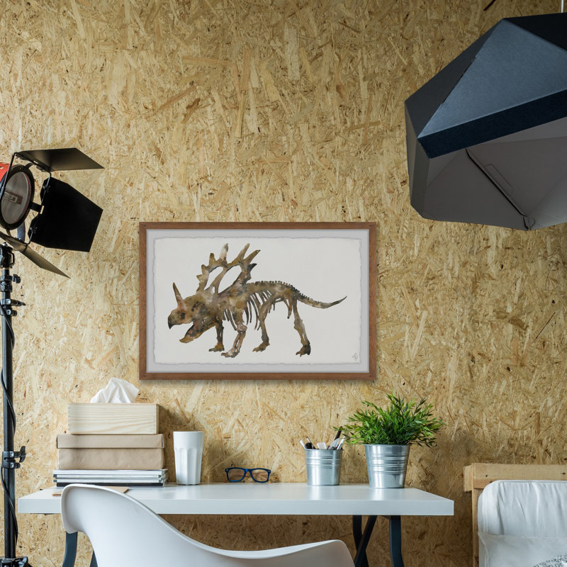 «Rieder Styracosaurus Skeleton», reproduction encadrée, H 8 po x l 12 po x P 1,5 po