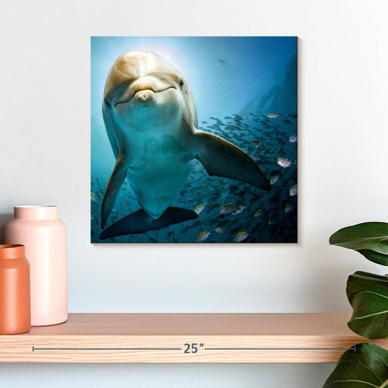 Brampt Curious Dolphin, 16" H x 16" W
