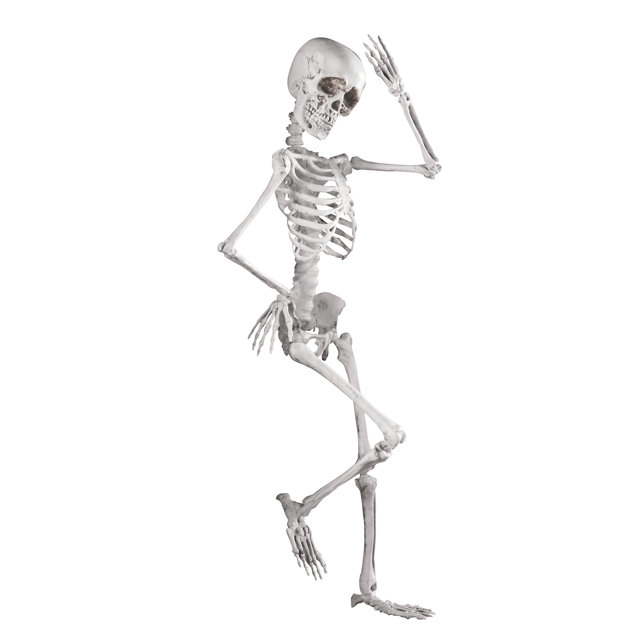 Skeletons