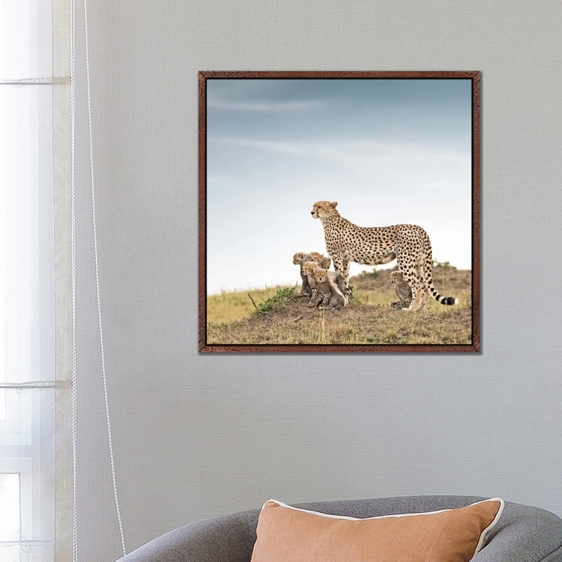 Colour Cheetah & Cubs by Klaus Tiedge - Print on Canvas, 66.04 cm H x 66.04 cm W, Classic Brown Wood Framed Canvas