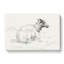 A Lying Sheep by Jean Bernard - Wrapped Canvas-55368017