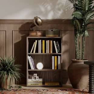 https://assets.wfcdn.com/im/04386368/resize-h310-w310%5Ecompr-r85/2546/254623250/leliete-bookcase.jpg