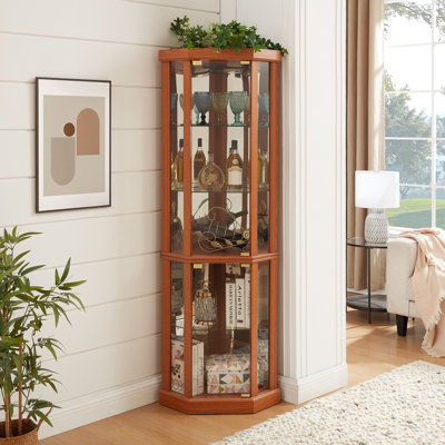 Corner Lighted Accent Cabinet with Glass Shelf and Door