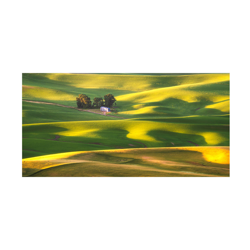 Art sur toile Aidong Ning Sunshine, H 10 po x l 19 po