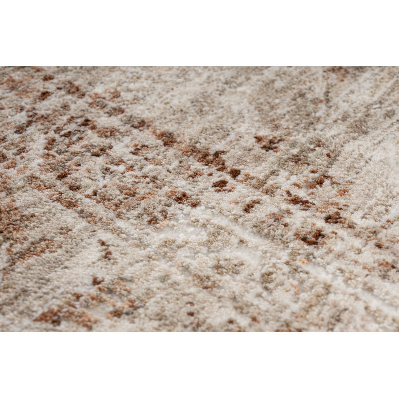 Beegle Vintage Look Area Rug, Rectangle 80 x 150cm