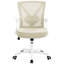 Polyester Office Chair
