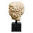 Marble Bust Decorative Object