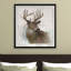 « rainsoft cerf », impression encadrée-1667625313