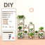 Plant Stand