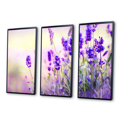 Mauve champ de lavande - ensemble d'art mural encadré floral sur toile 3 pièces