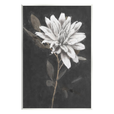 Blooming Dahlia Flower Black Background Wall Plaque Art By Nina Blue -  Stupell Industries, aq-641_wd_10x15