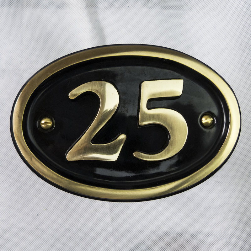 Tyrinia 10cm H Reflective Aluminum House Number, 25