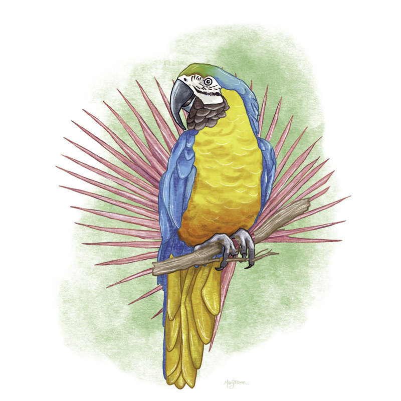 Perroquet coloré, ara, oiseau, jaune, rose vert, bleu, blanc, H 26 po x l 50 po x P 1,5 po