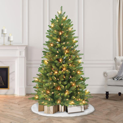 Lighted Spruce Christmas Tree