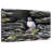 Crowle Resting Atlantic Puffin-111976262