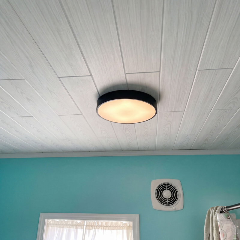Planches de plafond en mousse et bois collé 39 po x 6 po, Chêne blanchi