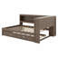 Lit de jour en bois avec tablettes de rangement, USB, DEL et lit gigogne-1557087721