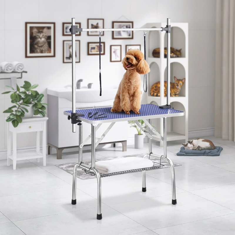 30'' H x 23.5'' D Folding Grooming Table, Blue, 30'' H x 36'' W x 23.5'' D