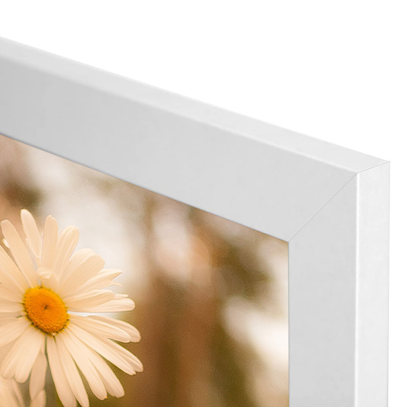 Cadre photo Kempson, 4 po x 6 po, Blanc