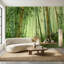 Papier peint forêt de bambou Shades Of Green-927577740-927577738