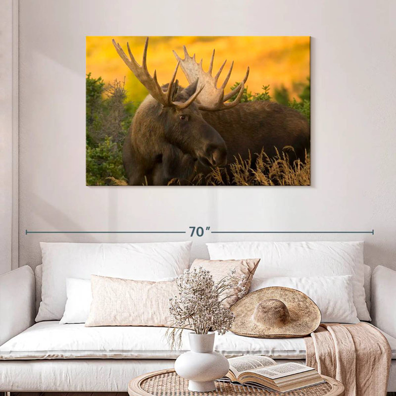 Chugach Bull Moose, 30" H x 45" W