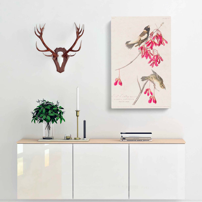 Rice Birds by John Audubon - Wrapped Canvas Print, 60cm H x 40cm W x 3cm D