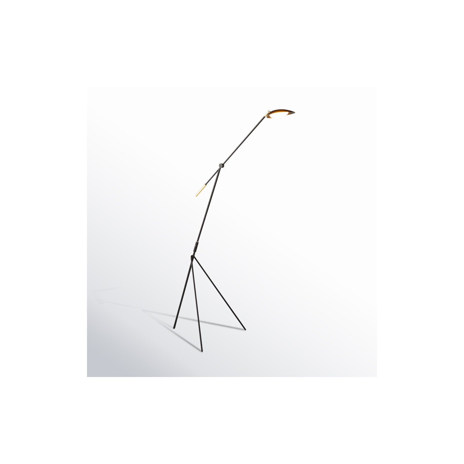 Cillian 60.5'' Dimmable LED Floor Lamp