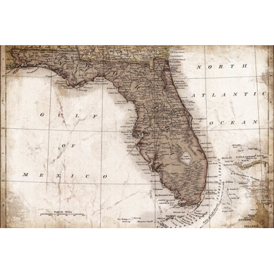 Dirty Brown Florida Map - Wrapped Canvas Print