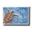 Toile épique Graffiti «Sea Turtle» par Anika Goodhue, 18 po x 12 po-106173664
