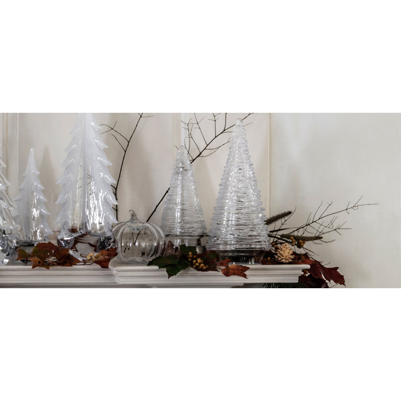 Echo Lake Evergreen, 14 inch