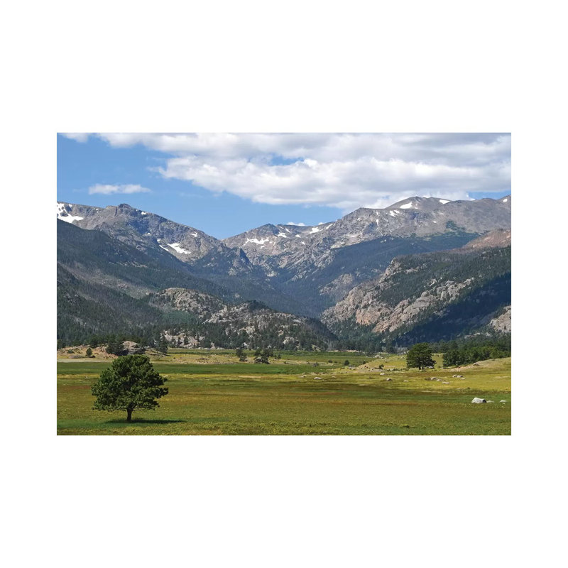 Mountain Meadow by Brian Wolf - Wrapped Canvas Print, 45.72cm H x 66.04cm W x 1.91cm D