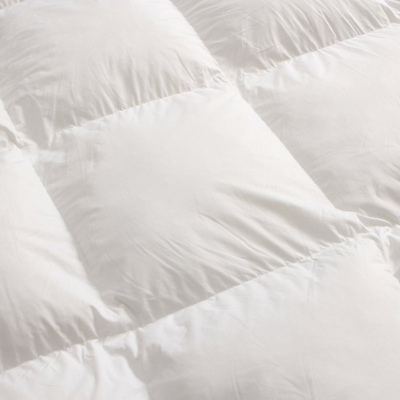 Surmatelas à plateau-coussin 2 po Buckingham, L 80 po x l 39 po