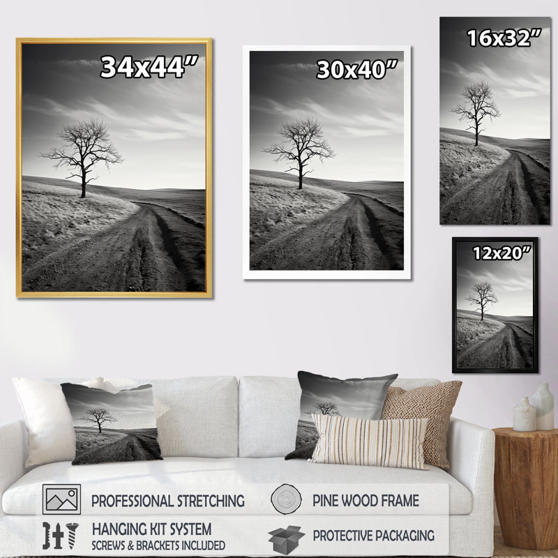 «Tree Lined Dreams I», reproduction sur toile, H 32 po x l 24 po x P 1 po, Cadre flottant noir