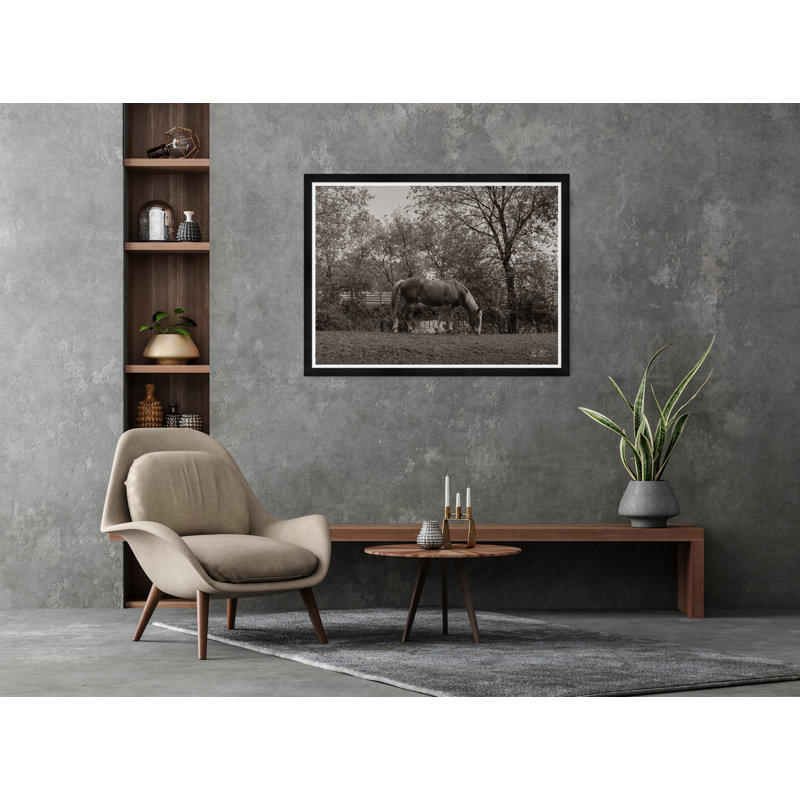 Grazing IV Print by Tim Klein