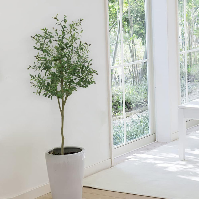 180cm Plant
