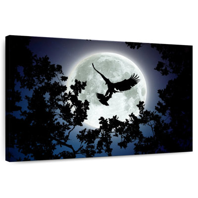 Aigle chasseur de nuit Brampt