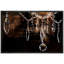 Lustre en cristal sur fond brun foncé-93589281-93589282